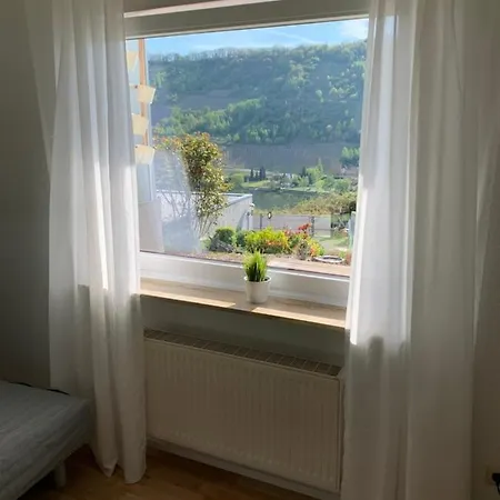 Moselblick *