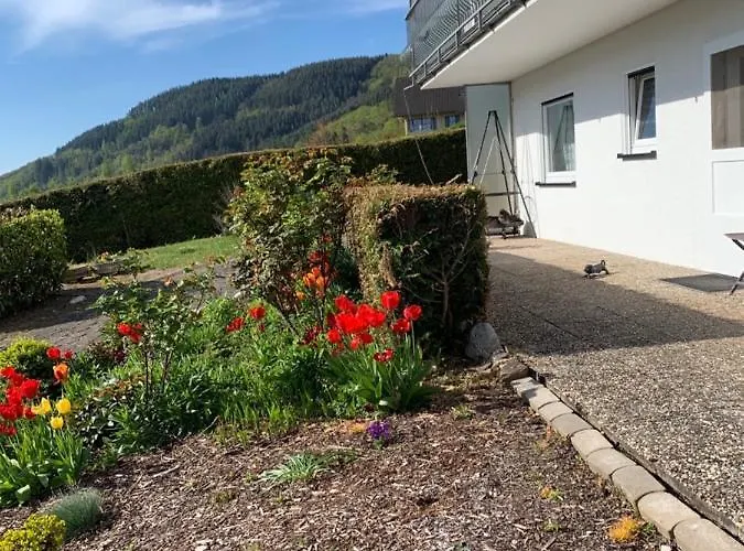 Moselblick Апартаменты Трабен-Трарбах